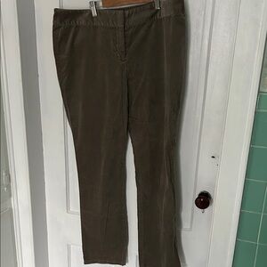 LOFT Straight Leg  Velvet Pants in Putty Grey